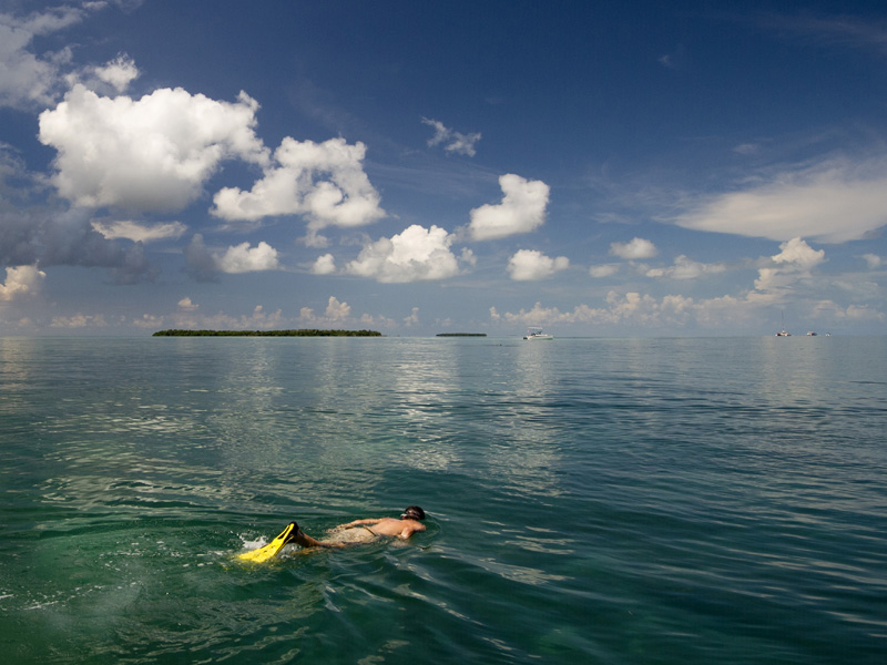 snorkeling in the Florida Keys